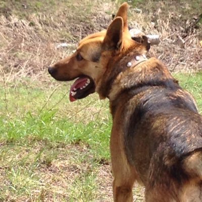 Nik_rains's profile picture. 