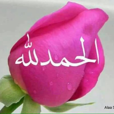 homud1952's profile picture. التواضع ثقة بالنفس