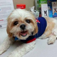 Ms.MartinezHistory (@msmartinezhist1) 's Twitter Profile Photo