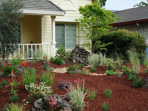 wild_gardens's profile picture. A new Landscape design and build company bringing a innovating way to create an oasis in yur house