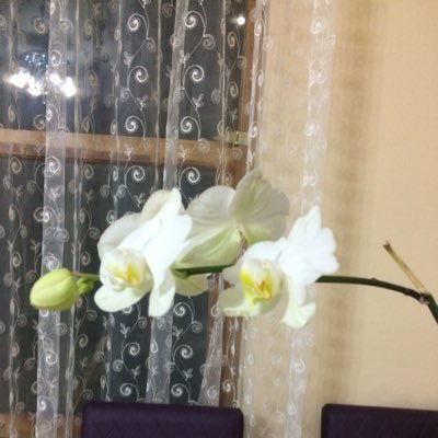 asiye_srn1's profile picture. 