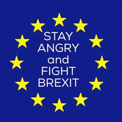 pauhol's profile picture. 