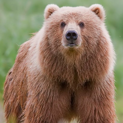 BHS_CoachCowan's profile picture. Freshman Volleyball Coach & Art Teacher at Bridgeland HS in CyFair ISD.