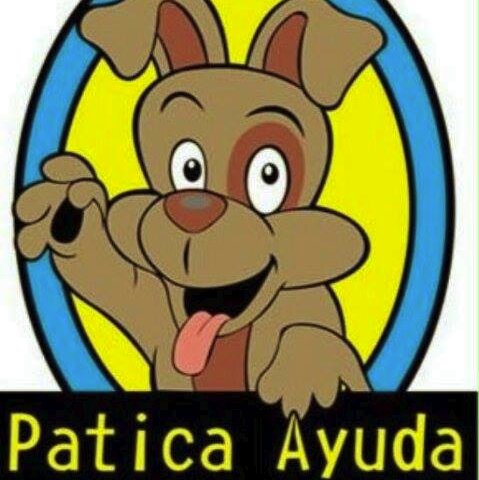 Fundación de Protección animal SIN FINES DE LUCRO. NO TENEMOS SEDE NI REFUGIO.
Siguenos en: Facebook e Instagram como: Patica Ayuda Correo:paticaayuda@gmail.com