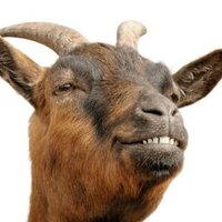 Risky Goat (@ranting_demon) 's Twitter Profile
