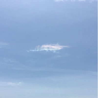 ytoex's profile picture. キモオタです