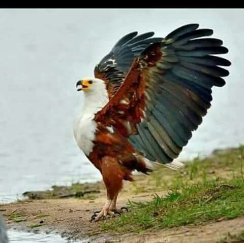 av6iYaGgVcpmBkR's profile picture. من يحب زب يجي خاص