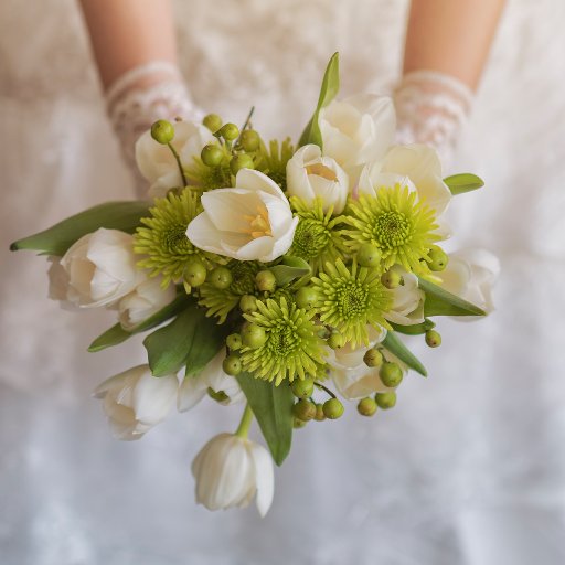 paulamolinafoto's profile picture. Fotógrafo profesional