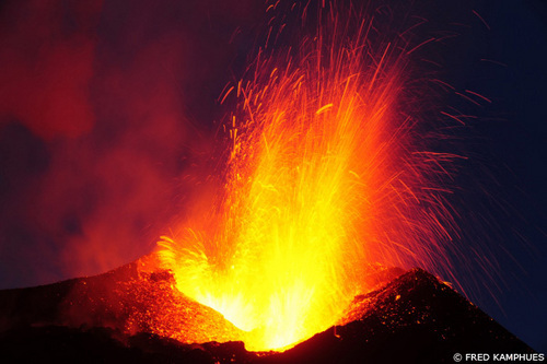 heddyreyes's profile picture. 