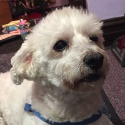 prange3's profile picture. 