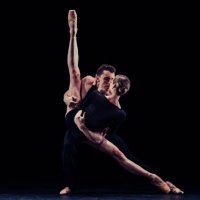 Alice Topp (@a_topps) 's Twitter Profile