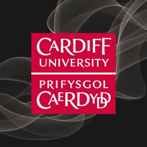 Security, Crime and Intelligence Innovation Institute at Cardiff University. Sign up to our newsletter - https://t.co/E9wEJ7JfeQ