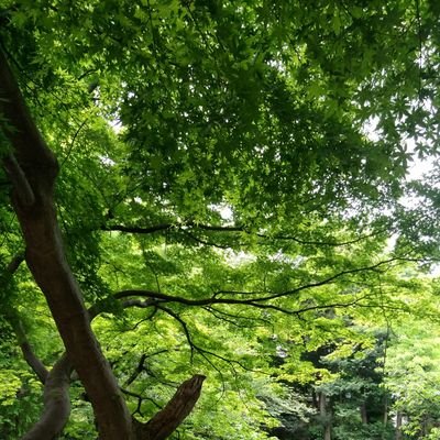 yura_k_1's profile picture. お茶好き🍵いろいろ飲みます。
日々忙殺。今年は変えていきたい。
台湾好き。沖縄好き。三浦大知さん、島袋寛子ちゃん好き/霹靂、アニメ漫画ゲーム大好きだけど、スピードについていけない。
セールス勧誘等はブロックします。勧誘リスト追加はお止め下さい。鍵ｱｶさんはﾌｫﾛﾊﾞへ承認が無理ならブロックします。