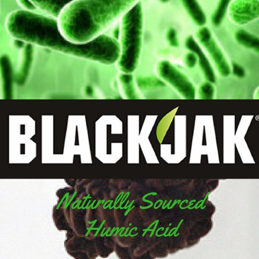 Made in the UK, BlackJak is a foliar feed and soil conditioner. The activated liquid ensures high levels of natural humic, fulvic and ulmic acids.