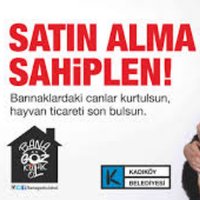 sokak canları (@sokakcanlari) Twitter profile photo