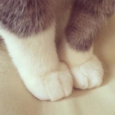 _ash12wa's profile picture. 善良な一市民として良識に捉われずに自由に発言させていただきます！