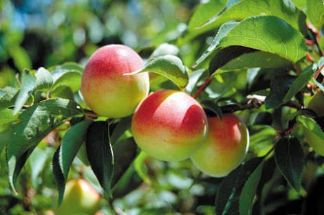 Ut2GsGEWcYckKMb's profile picture. 22歳