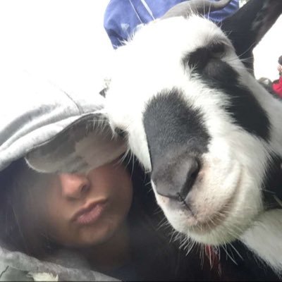 quackieattackie's profile picture. professional *teeth* flosser