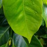 _wilson_gamboa's profile picture. Ingeniero Agrícola, opiniones personales.
👨🏼🌾☕
Gestión del territorio agropecuario