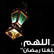 Shreefelmans1's profile picture. حبيبى يا ربنه
