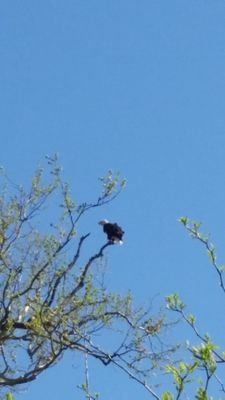 Mattdavis7881's profile picture. NFL Sports NBA NASCAR MLB NCAA Football NCAA Basketball Basketball Baseball