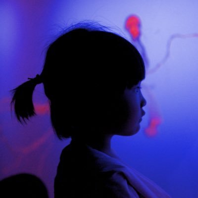 JackShenail's profile picture. 