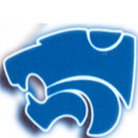 Cy Creek Volleyball(@CCHSCougarVB) 's Twitter Profile Photo