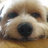 tykr42's profile image