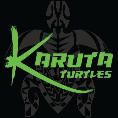 Karuta Turtles