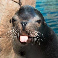 WCS Education (@wcseducation) 's Twitter Profile