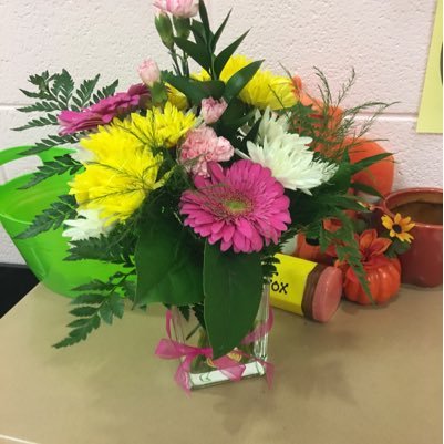 foxlej4's profile picture. 