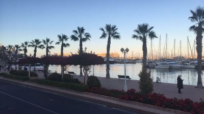 mefkuredunyasi's profile picture. Allah'ım! Bize hakkı hak bilip, ona tabi olmayı, batılı da batıl gösterip ondan iştinap etmeyi nasip et. Amin