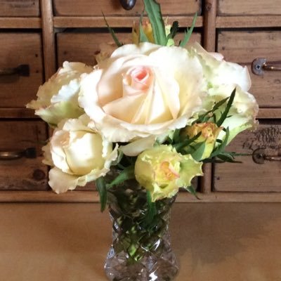 Burnsycam's profile picture. 