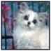 Reb (@rebniks1) Twitter profile photo Reb (@rebniks1) Twitter profile photo
