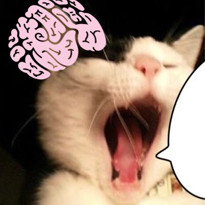 chaga_ten's profile picture. 2ひき+1ひきのねこと暮らす. https://t.co/knyVuGOUD3