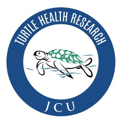 Filling in the empty pages in the book on turtle health. We ❤️ 🐢🐢🐢