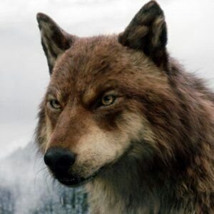 VeritasAeturnum's profile picture. If you like your freedom, guard it.  #freedomofspeech #All10A  #ProAmerica #EndPoaching #EndSlavery #BanIslam #ProLife
#BuildTheWall