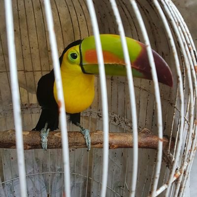 ovatsugluar's profile picture. 