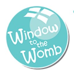 3D baby scans, gender scans or a 4D scan movies. Window to the Womb Darlington is here to offer you, your family and friends a magical experience.