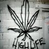Le_Mou_Stick's profile picture. Revue de presse et commentaires #Cannabis #Drogues #LegalizeIt #DIY (racistes, flics, extrême droite, complotistes, identitaires de droite OU de gauche : 🚫)