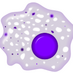 Macrophages (@macrophages) Twitter profile photo Macrophages (@macrophages) Twitter profile photo