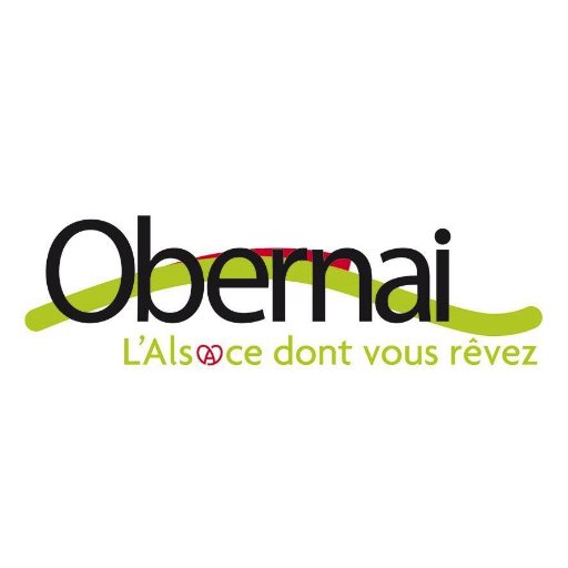 Actus, bon plans, animations, idées sorties à #Obernai et environs #Alsace #VisitObernai #NoelObernai