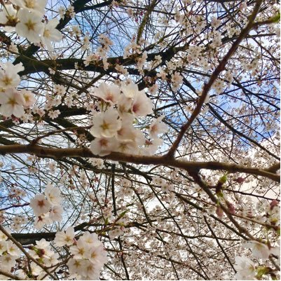 motokare_kano_'s profile picture. 綺麗な別れ方をしましたか？後悔などしてませんか？元恋人がきになりませんか？思った事を呟きます。浮気発見機