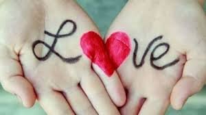 Lalafder's profile picture. 