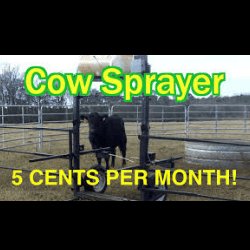 HANDS-FREE WAY TO HEALTHY CATTLE...The Cow Sprayer: Safer, More Effective Than Vet Guns and Ear Tags!