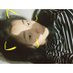 TRACOB (@rjjiangv_) Twitter profile photo TRACOB (@rjjiangv_) Twitter profile photo