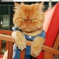 CactusPiquant (@fair_finance) 's Twitter Profile Photo CactusPiquant (@fair_finance) 's Twitter Profile Photo