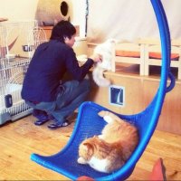 へたくとでぇ〜す (@one0k69) 's Twitter Profile