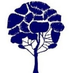 wlpinewood's profile picture. 