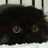 K1Soheil's profile image